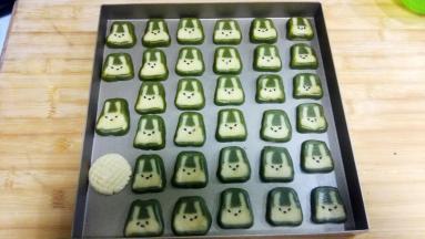 烤箱170度预热，中层，烤20分钟左右。中途七八分钟时盖上锡纸。烤箱的时间温度根据自家烤箱来定，不要生搬我的温度和时间哦。实在拿不定，可以低温130或140度烤制。
刚烤好的饼干很脆弱，千万不要拿。等凉了以后再取，切记！