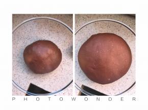 盖保鲜膜温暖处发酵两倍大