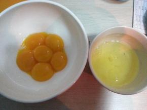 蛋清蛋黄分离