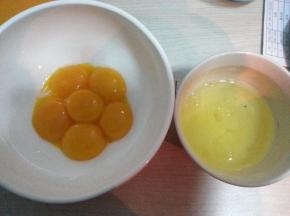 蛋清蛋黄分离