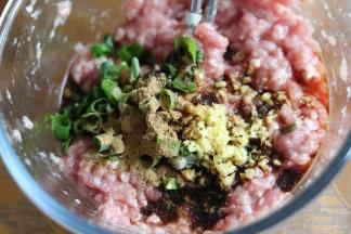 搅拌好的猪肉沫，加上香葱沫，姜末，生抽，十三香，鸡汁，麻油，搅拌匀。