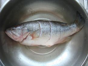 鱼清洗干净，在鱼身上倾斜着划上几个刀口。