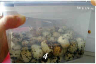 凉透的鹌鹑蛋放入保鲜盒中，倒入与鹌鹑蛋齐平的清水，盖上盖子。双手抓紧保鲜盒，上下左右大力晃动一、两分钟；