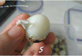 取出鹌鹑蛋剥壳；