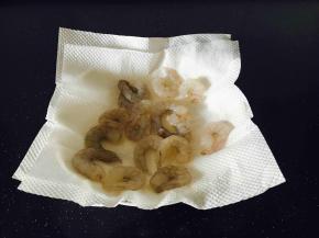 冷冻虾仁解冻后用厨房用纸吸干水份（如果用鲜虾的话就要先去皮，然后挑出虾线，再用厨房用纸吸干水份）