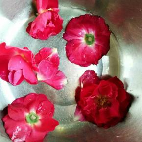 取一个大点的碗，碗底不规则的摆入几朵洗净的鲜花