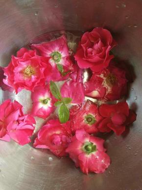 碗内倒入大约5cm高的纯净水，(清水也可以，纯净水或者蒸馏水透明度更高)然后放冰箱冷冻四小时