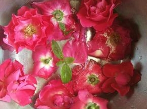 碗内倒入大约5cm高的纯净水，(清水也可以，纯净水或者蒸馏水透明度更高)然后放冰箱冷冻四小时