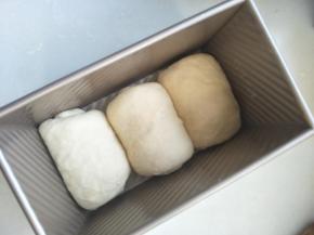 三个依次卷好后放入吐司模具中进行二次发酵。
