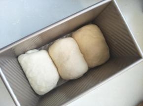 三个依次卷好后放入吐司模具中进行二次发酵。