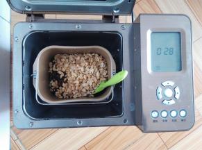 加入花生和蔓越莓，黑加仑