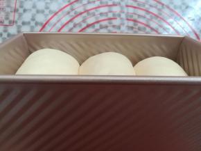 面团发酵到土司盒的8分满，取出盖上土司盒的盖子，同时预热烤箱上火130度，下火160度