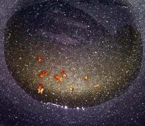 玉米油倒入锅中，放十几粒花椒，小火炸出香味后，将花椒捞出。