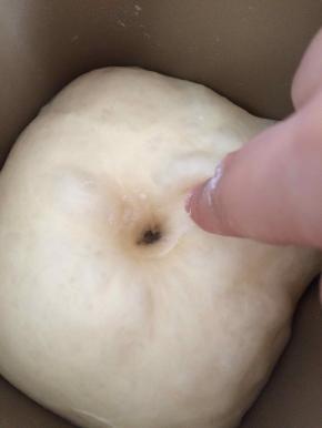 发酵至2倍大，用手指沾粉插面团，面团不回缩不反弹就是发酵好了