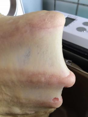 2个imix程序40分钟后面团可以拉出手套膜就可以了