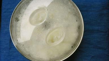 盖上盖子，放温暖处发酵，适宜温度是25-30℃，温度太高的话，甜酒容易酸或者不成功，不建议用酸奶机和面包机，温度都偏高，夏天直接室温，春秋用棉衣包住室温，冬天的话用厚的棉衣多盖点发酵