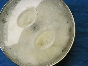 盖上盖子，放温暖处发酵，适宜温度是25-30℃，温度太高的话，甜酒容易酸或者不成功，不建议用酸奶机和面包机，温度都偏高，夏天直接室温，春秋用棉衣包住室温，冬天的话用厚的棉衣多盖点发酵