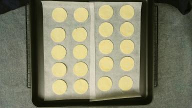 东菱烤立方的烤盘比较大，饼干可以放中间，上色会很均匀