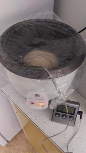 因为我家里太冷，所以面团放入电饭煲保温档就可以咯。大概40分钟就发到2倍大！（一发好是成功的关键！）