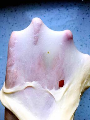 加入黄油和盐，揉至完全阶段