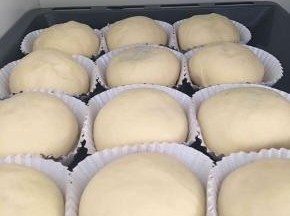 .将烤盘放在温度35度，湿度百分之80的环境下进行二发