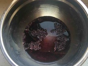 将紫米和水称好，上锅蒸熟