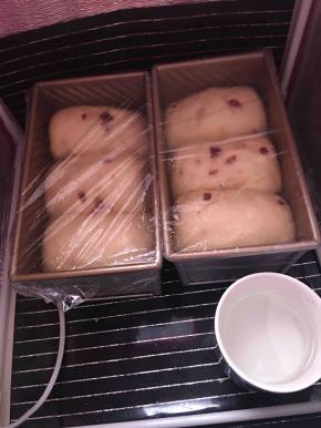 放到温暖35度，湿度百分之80处进行二发