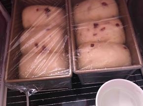 放到温暖35度，湿度百分之80处进行二发