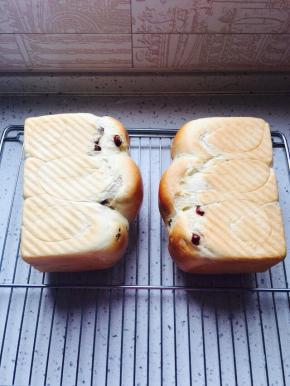 出炉后轻震吐司盒，将吐司放在晾网上晾至手温密封保存。