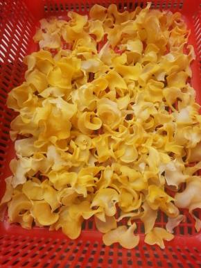 晒了一天太阳的土豆片就晒干了，像不像螺肉片啊*^_^*（天气好的时候可以晒多点，可以存货，想吃的时候就可以直接炸来吃真的很方便）