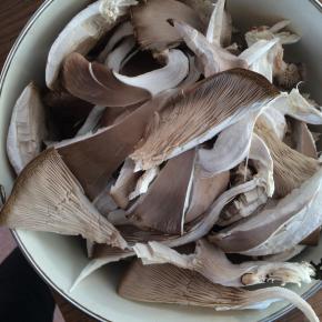 平菇手撕成小块，清洗干净。