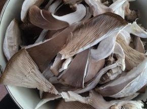 平菇手撕成小块，清洗干净。