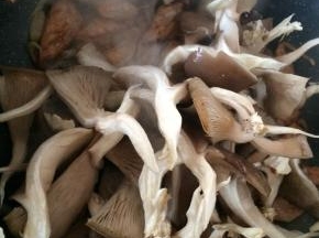 放入蘑菇翻炒约3分钟。