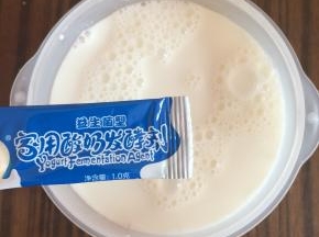 加入酸奶菌粉。