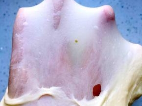 .加入黄油和盐，揉到完全阶段