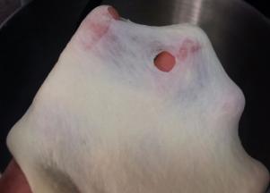 后油法，将面团揉至扩展阶段，可抻出透明的不很结实的薄膜。 盖保鲜膜，放温暖处发酵。