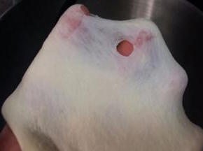 后油法，将面团揉至扩展阶段，可抻出透明的不很结实的薄膜。 盖保鲜膜，放温暖处发酵。