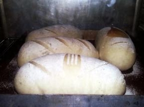 烤箱预热180度，中层，烤25分钟，至面包表面烤成金黄色。（温度及时间按自家烤箱灵活掌握）