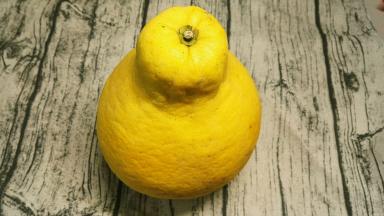 柚子切开之前，用盐先将柚子皮搓一遍，洗干净。目地是为了去除柚子身上的蜡