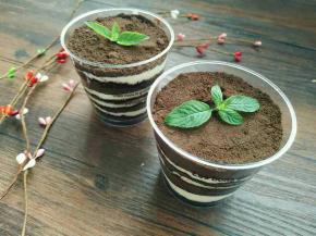 放薄荷叶装饰，冰箱冷藏两小时