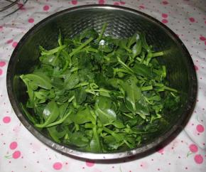 穿心莲洗干净，摘成小段