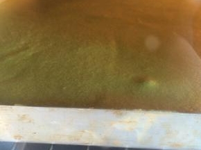 面糊倒入方盘中，烤箱预热，175度20分钟（具体温度视自家烤箱而定）