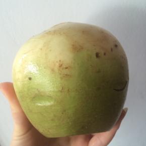 心里美萝卜，洗干净去皮备用。