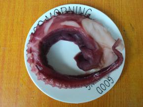 章鱼足自然解冻，清洗干净。