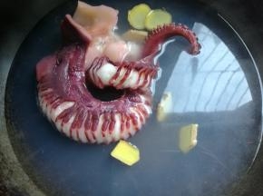 锅坐水烧开，放入几片姜，料酒，下入章鱼足过水焯20秒，捞出备用。