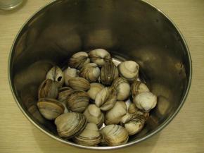 白蚬子洗干净，控干水份