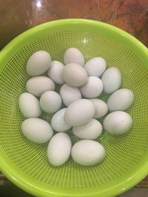 鸭蛋清洗干净，自然晾干
