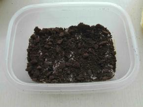 再撒上一层奥利奥碎