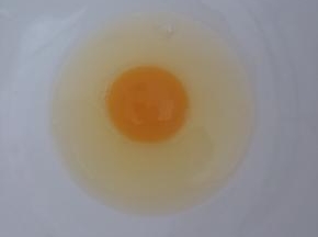 鸡蛋打入盆内。