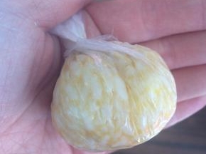 提起保鲜膜的四角攥紧一拧，即可成一个饭团。